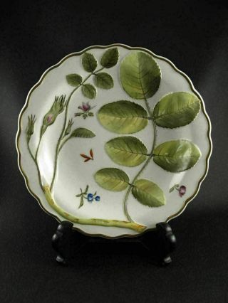 BLIND EARL by ROYAL WORCESTER 8 