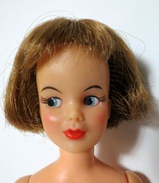 Vintage TAMMY DOLL Ideal Toy Corp.  1965 2