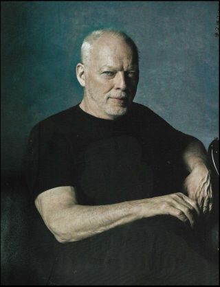 Pink Floyd David Gilmour 8 " X11 " Pin - Up Photo Print