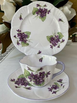 Shelley China Violets Plate,  Teacup And Saucer Trio