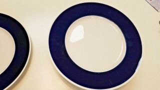 Set of 7 Navy Blue and White Dinner Plates,  10 - 1/2 