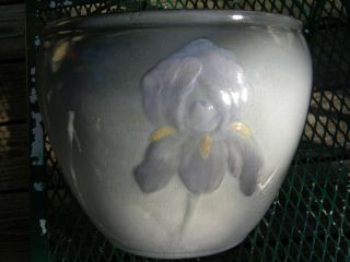 Weller Pottery Etna Iris Jardiniere 3