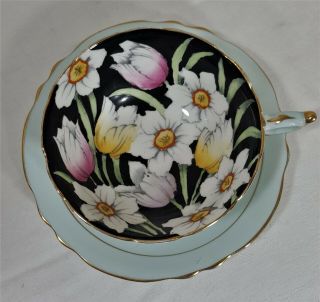 Paragon Tulips And Narcissus Cup & Saucer 2