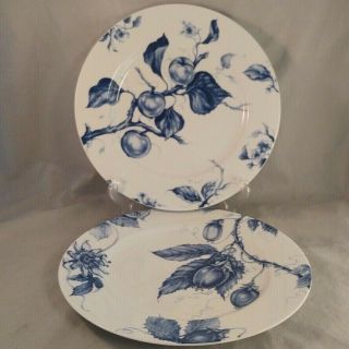 Set Of 2 Williams - Sonoma Ormonde Blue Dinner Plates - Fig & Peach