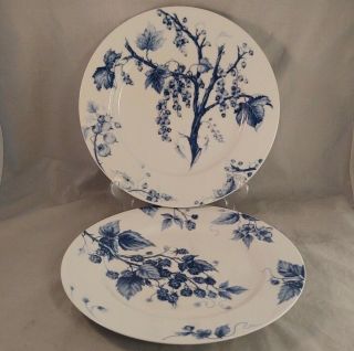 Set Of 2 Williams - Sonoma Ormonde Blue Dinner Plates - Gooseberry & Raspberry