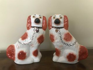 Set Of Antique Staffordshire Dog Figurines King Charles Spaniel 11.  25 " Tall