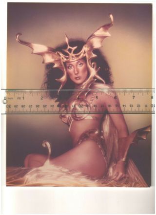 Cher / 8x10 Celebrity Photo / Vintage Photograph On Glossy Kodak