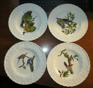 8 Vintage Alfred Meakin Birds Of America Dinner Plates England Exc