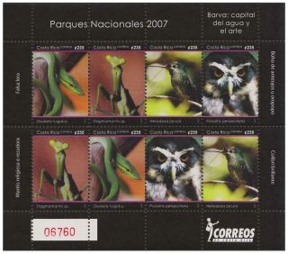 Costa Rica Owl Birds Snake Insects Sheetlet Of 8 Mnh Sg 1844 - 1847 Mi 1676 - 1679