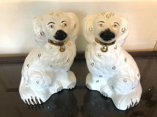 Vintage Staffordshire 8 " Pair Porcelain Spaniel Dogs Beswick England - 1378 - 5