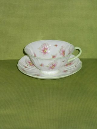 Footed Oleander Cup And Saucer/pink Aster