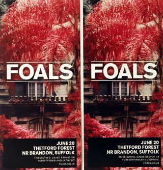 Foals Thetford Forest June 20th 2019 Flyers X 2