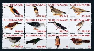 [su1374] Suriname Surinam 2006 Birds Mnh