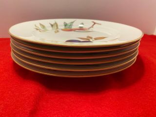 Set of 6 Vintage Royal Worcester Evesham Porcelain Dinner Plates Fruit Gold RIm 2