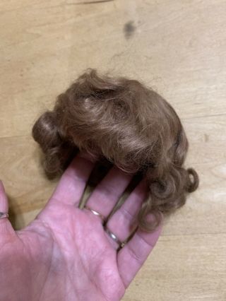 Soft Brown Wig For Antique Doll - possibly Mohair 2