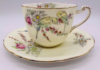 1930 Paragon Fine China Birth Of Princess Margaret Rose Tea Cup Saucer Parakeets