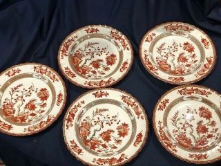 Copeland Spode India Tree Pattern In Red 10 3/8 In Dinner Plates Set Of 5