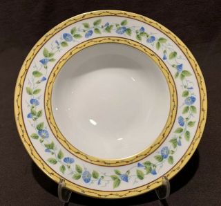 A Raynaud Ceralene Limoges Morning Glory Ring Rimmed Soup Bowl 8 1/4 " D Many
