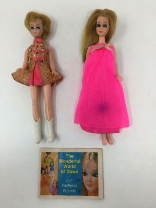 Two Vintage Topper Dawn Dolls With Clothes & Booklet Dawn And Jessica? Majorette