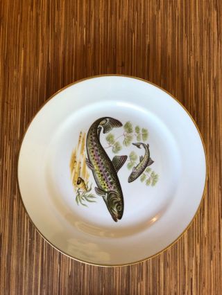 (5) Vintage Naaman Israel Porcelain 9.  5 " Fish Dinner Plate 1950s Naa11 Gold Rim
