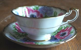 Paragon Red & Blue Anemones Gold Edged Cabinet Teacup And Saucer Vintage