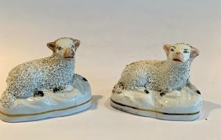 Pair Antique Staffordshire Recumbent Sheep 19th Century
