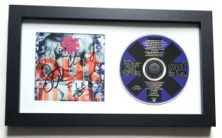 Red Hot Chili Peppers Real Hand Signed Out In L.  A.  Cd Framed Display All 4