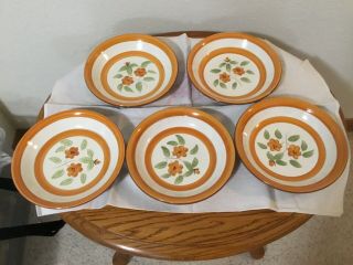 5 Vintage Stangl Pottery Hand Painted " Bittersweet " 7 3/4 " Bowl Made In Usa