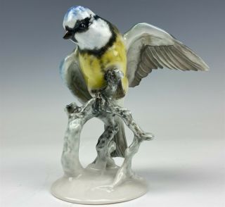 Rosenthal Germany Us Zone Hand Painted Blue Titmouse Porcelain Bird Figurine Jqf