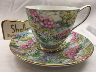 Shelley Cariisle Rock Garden Chintz Cup And Saucer - Gold Trim 14267