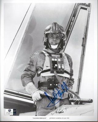 Mark Hamill As Luke Skywalker Signed 8x10 Photo Star Wars Esb Global Authentic