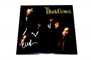 CHRIS ROBINSON SIGNED THE BLACK CROWES SHAKE YOUR MONEY MAKER ALBUM VINYL w/COA 2
