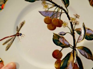 8 Delinieres & Cie Limoges D&c France Hand Painted Plates Fruit Birds Dragonfly