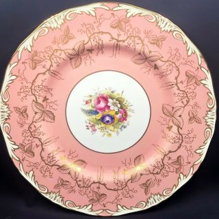 Antique 1900 Royal Worcester Pink Band Hand Painted Floral Cabinet Plate 11 "