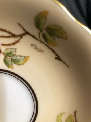 E B Foley Cabbage Rose Teacup and Sauce Signed A Taylor 3