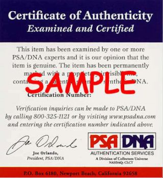 Raul Julia Angelica Huston PSA DNA Signed 8x10 Adams Family Photo Autograph 2