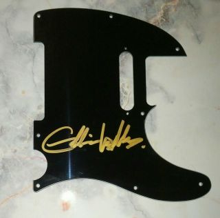 Eddie Vedder Autographed Guitar Pick Guard