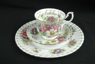 Royal Albert Flower Of The Month Series October Teacup Trio Cosmos