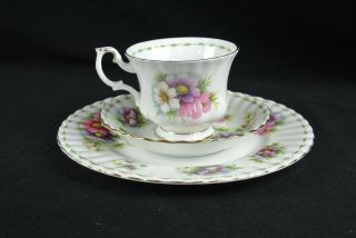 Royal Albert Flower of the Month Series October Teacup Trio Cosmos 2