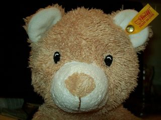 My First Steiff 14 Inch Beige Teddy Bear Pristine With Tag On The Ear