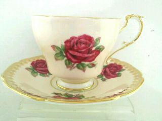 Qa.  " Paragon " Ruby Red Cabbage Roses Bone China Tea Cup And Saucer England