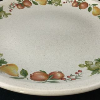 Set of 4 Wedgwood QUINCE Fruit 10 1/2 ' Dinner Plates - 3