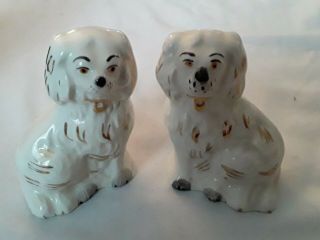 Vintage Pair Staffordshire Dogs Beswick England 1878 - 7 Porcelain Mantle Spaniel