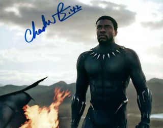 Chadwick Boseman Autographed 8x10 Picture Signed Photo And