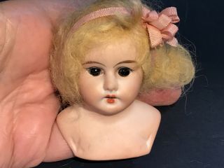 Germany Bisque Doll Head 10/0 Marked Psch 1899.  Blonde Beauty 3”x2 1/4” - Ribbon