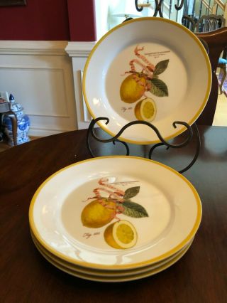 Set Of 4: Williams Sonoma Lemon Botanical 8 7/8 " Salad/luncheon Plates