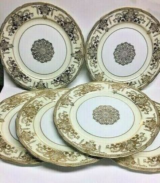 (6) Noritake Hand Painted Dinner Plates From Japan,  Gold Pattern 10.  75 X 10.  75.