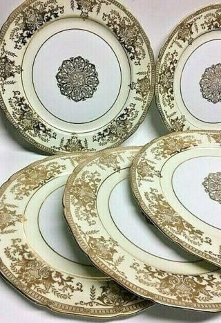 (6) Noritake Hand Painted Dinner Plates from Japan,  Gold Pattern 10.  75 x 10.  75. 2