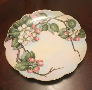 Antique T&v Limoges France Apple Blossom Porcelain Plate 9.  25 " L@@k