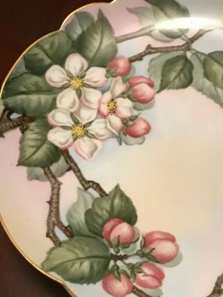 Antique T&V Limoges France Apple Blossom Porcelain Plate 9.  25 